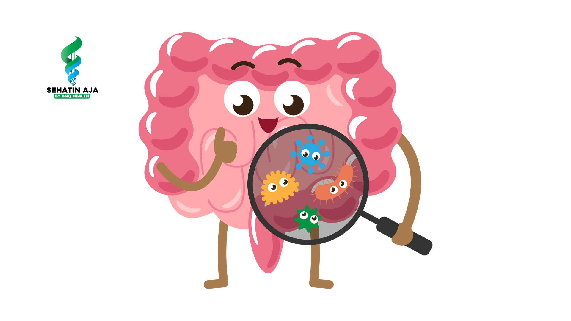 Usus Sehat, Hidup Bahagia: Mengenal "Organ" Tersembunyi di Dalam Tubuh Anda
